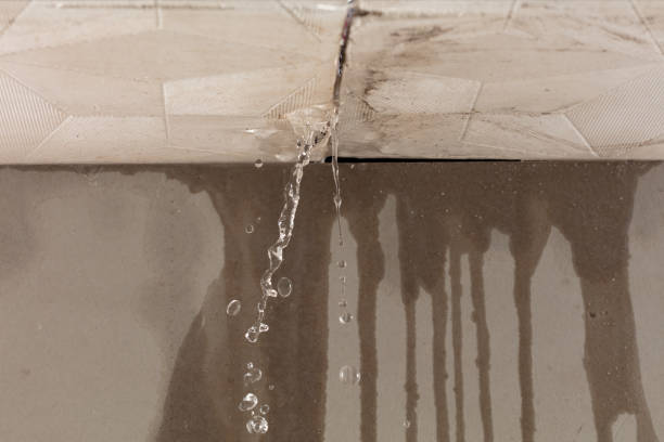 Professional Structural Drying technician working in Garden City, NY